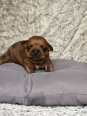 Bahia first born